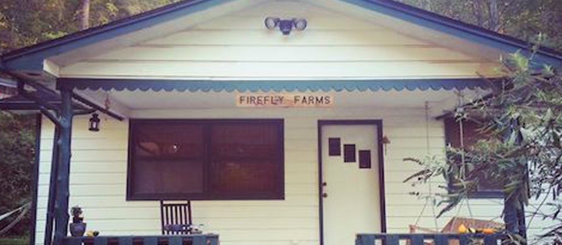 Sundress Academy for the Arts Now Taking Applications for Virtual Reading Series