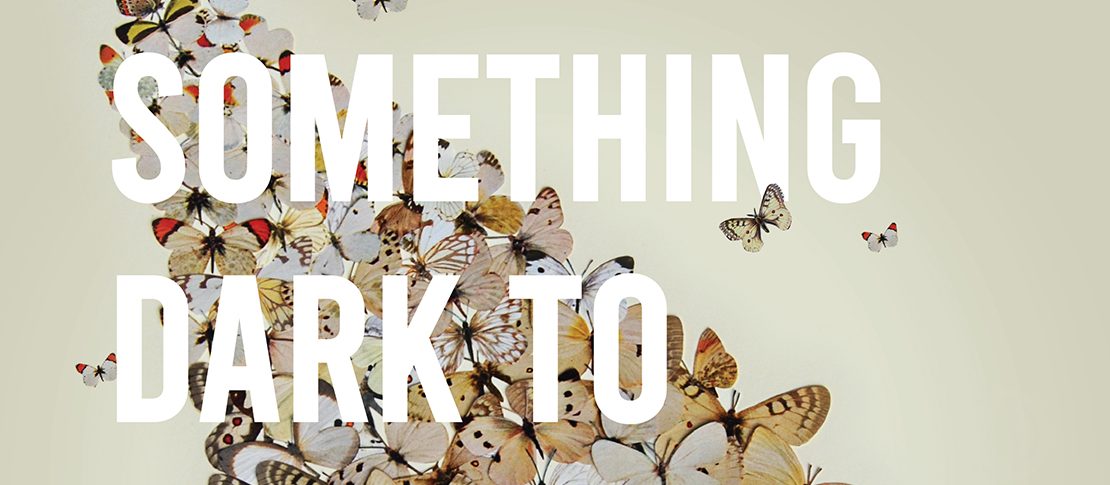 Pre-order: Something Dark to Shine In!, by Inès Pujos