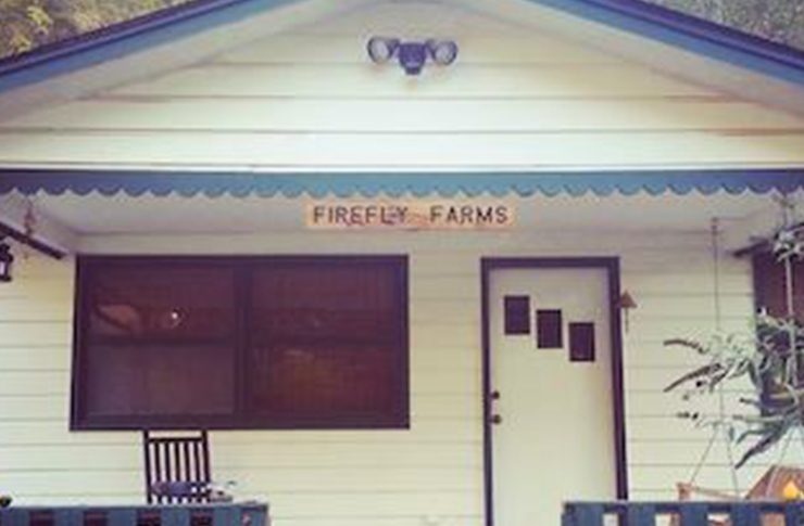 Sundress Academy for the Arts Now Taking Applications for Virtual Reading Series